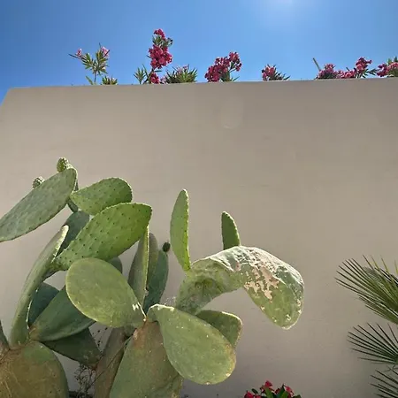 Pink Freud Studio Santorini 아파트 *